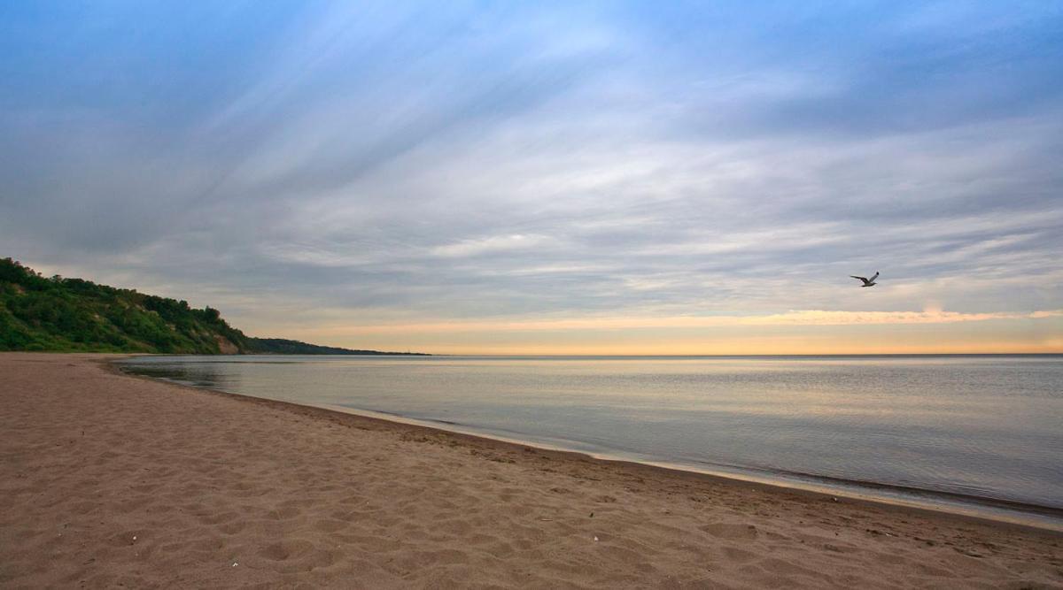 Basement Apartment In Luxury Beach House Торонто Екстер'єр фото